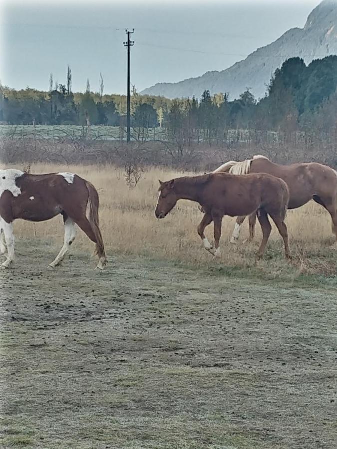 Cabanas Parque Chaqueihua Hornopiren Dış mekan fotoğraf