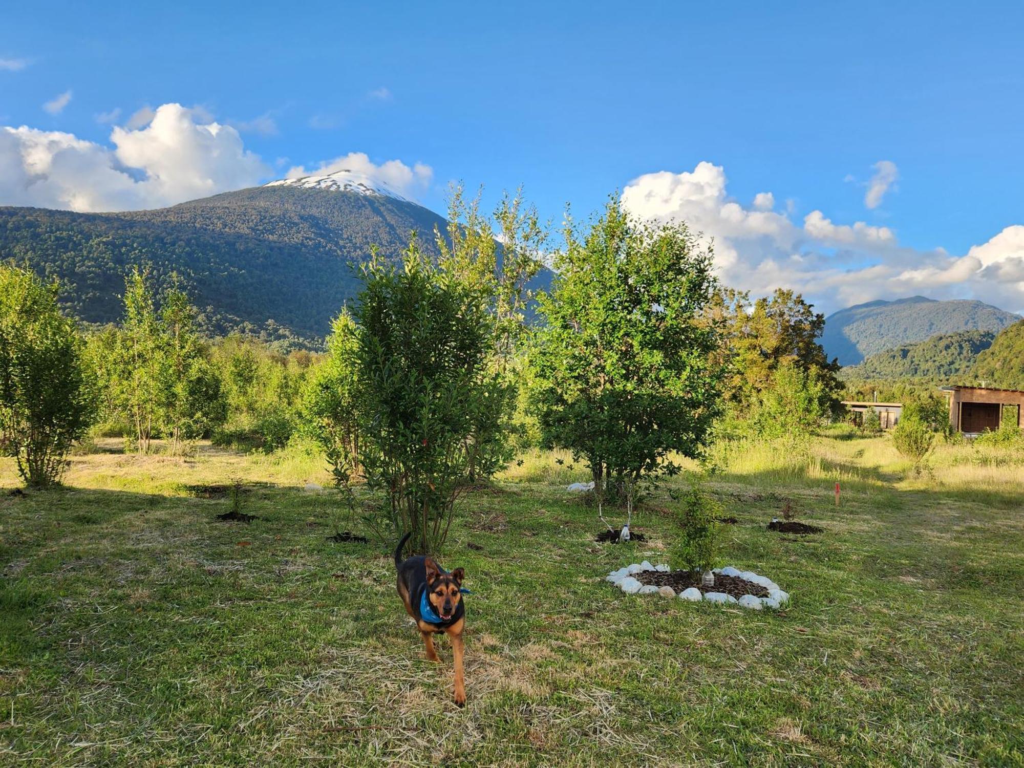 Cabanas Parque Chaqueihua Hornopiren Dış mekan fotoğraf