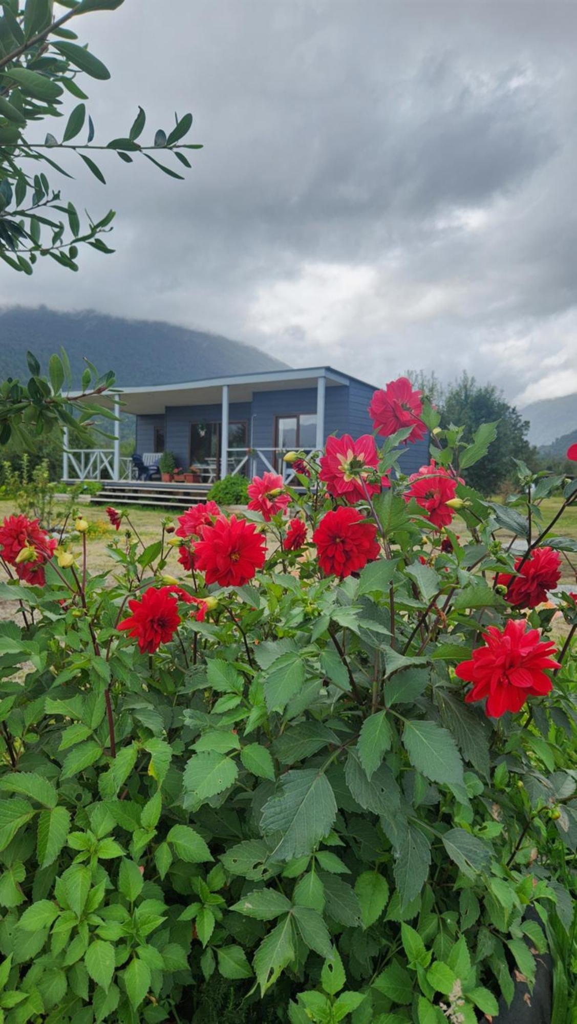Cabanas Parque Chaqueihua Hornopiren Dış mekan fotoğraf